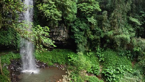 a tranquil waterfall cascades amidst lush greenery in dorrigo national park, captured in slow motion with natural lighting