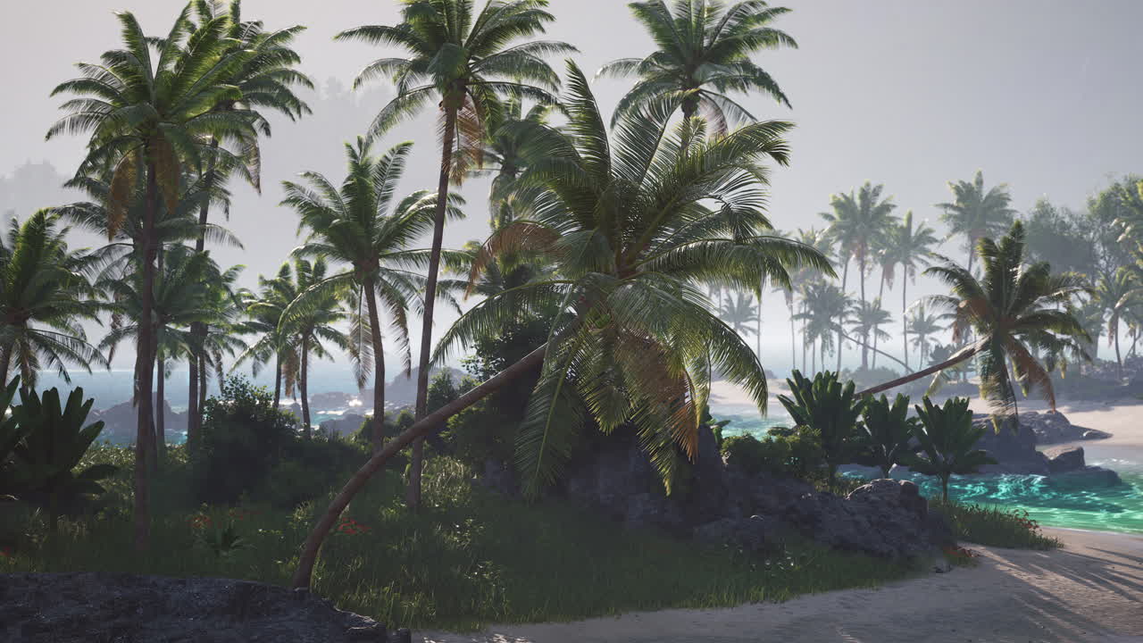Lush tropical beach with palm trees under a clear sky on a sunny day