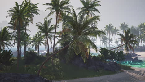 lush tropical beach with palm trees under a clear sky on a sunny day
