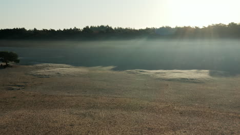 extensive sand drifts and lush forest on hot summer day in netherlands