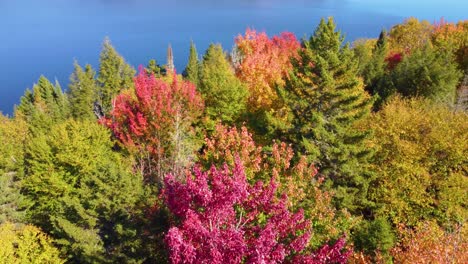 Aerial-Drone-Above-Colorful-Fall-Green-Yellow-Red-Trees-Landscape,-Water-Bay-in-Montreal-Canada