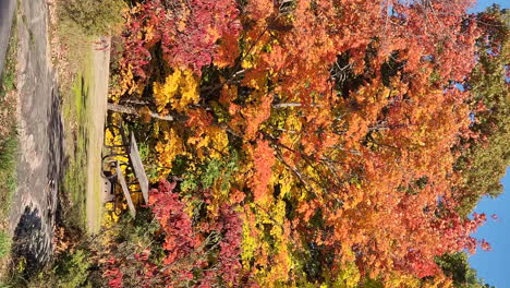 Vertical-|-Autumn-fall-vibrant-bright-orange-and-yellow-nature-colors-surround-a-picnic-bench