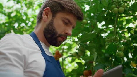 ingeniero agrícola de primer plano controlando el crecimiento de las plantas en la plantación