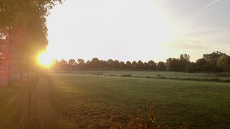 flying to a field with beautiful sunlight with sun rays