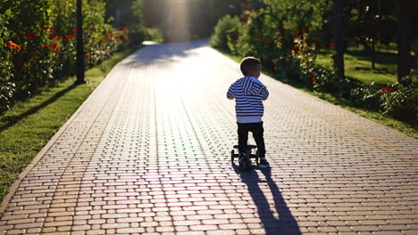 rear view of a baby riding a scooter. little toddler of three years old in striped shirt rides cheerfully by the beautiful park.