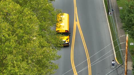 yellow school bus driving on road lined by trees in america