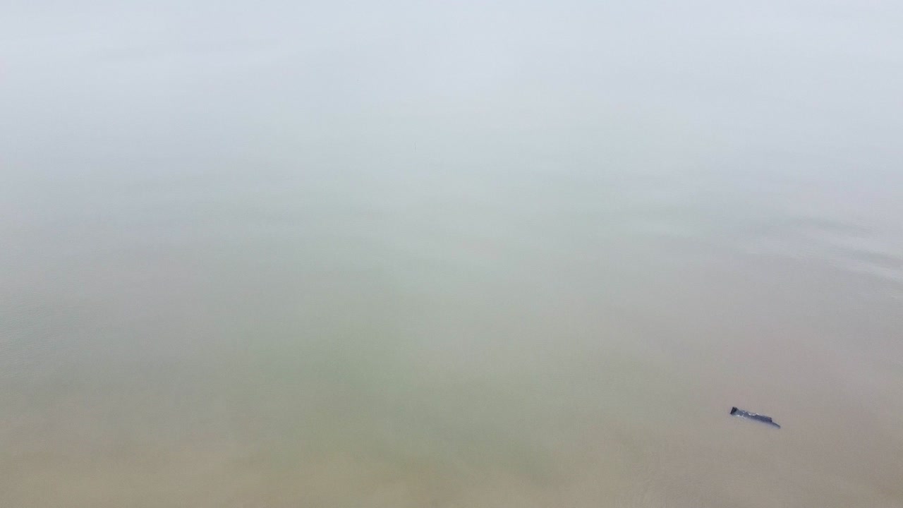 Aerial view of Baltic sea coast in overcast spring day, steep seashore dunes damaged by waves, coastal erosion, climate changes, revealing drone shot moving forward, camera tilt up