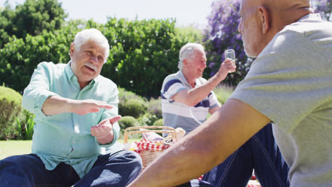 Two-happy-diverse-senior-men-talking-at-a-picnic-with-friends-in-sunny-garden,-slow-motion