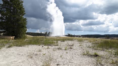 viejos fieles en erupción en el parque nacional de yellowstone