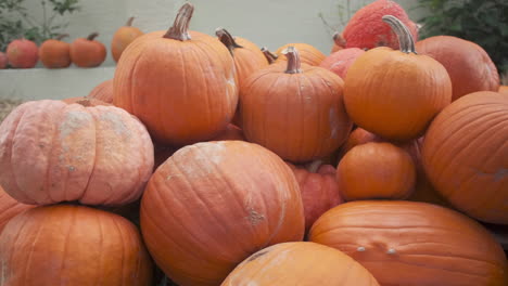 paneo lento a través de una pila de calabazas naranjas grandes mientras las manos recogen una calabaza