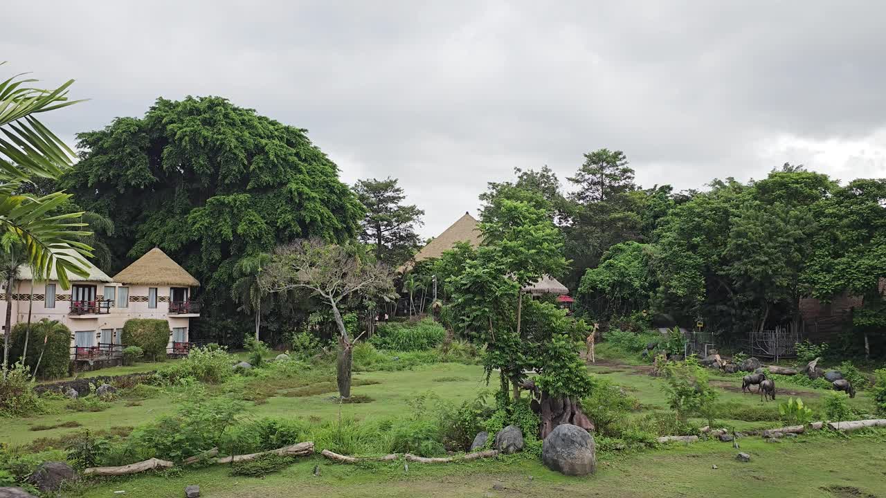 animales vagando libremente por todo el safari de bali y el parque marino en gianyar, bali, indonesia - toma amplia
