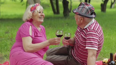 picnic familiar de fin de semana en el parque. una pareja activa de ancianos caucásicos se sientan en una manta y beben vino