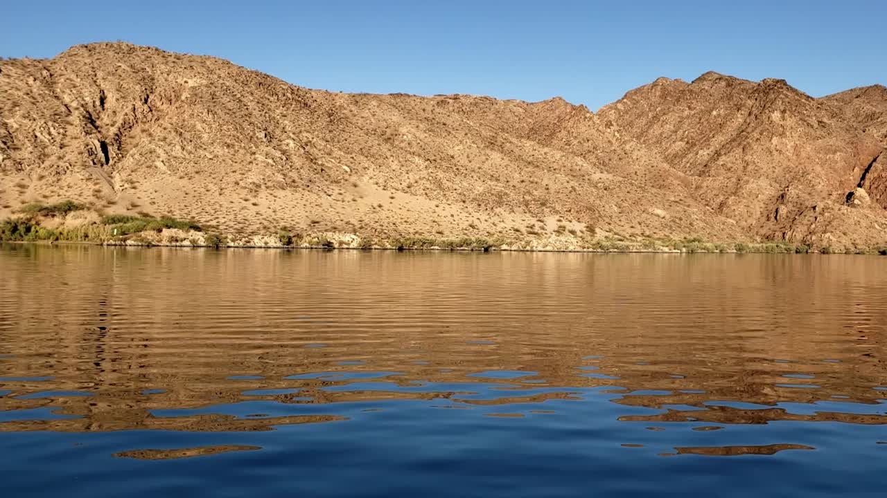 버드나무 해변에서 슬로우 모션으로 호숫가 파노라마