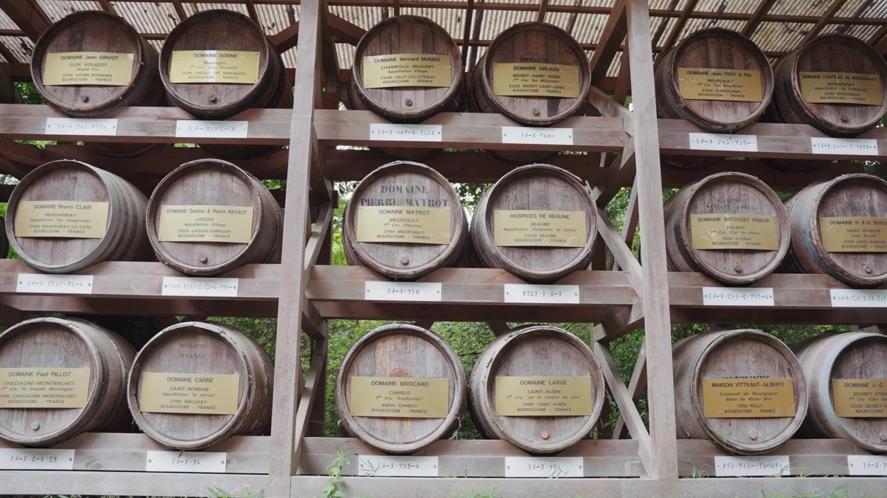 Sakefat i trä utställda vid Meiji Jingu-helgedomen belyser Japans rika bryggartradition och traditionella shintoistiska seder i hjärtat av Tokyo