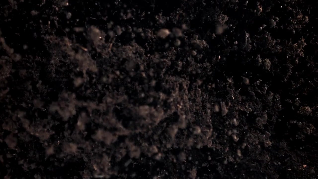 Primo piano di terreno scuro e fertile con particelle in caduta.