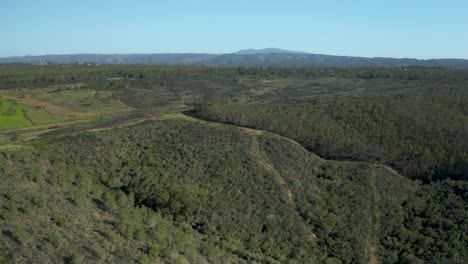 Aerial-view-over-rural-nature-in-south-of-Portugal