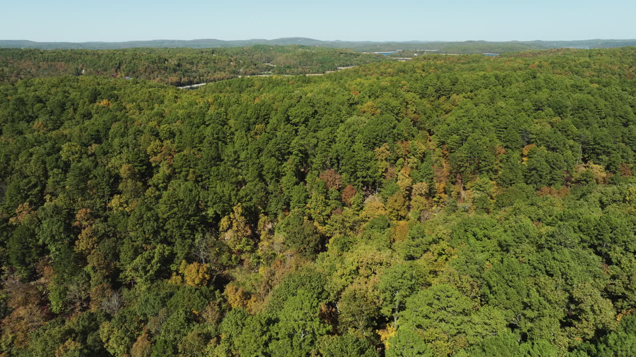 vista panorámica de un denso y exuberante bosque en eagle hollow, arkansas, estados unidos, tomada por un avión no tripulado.