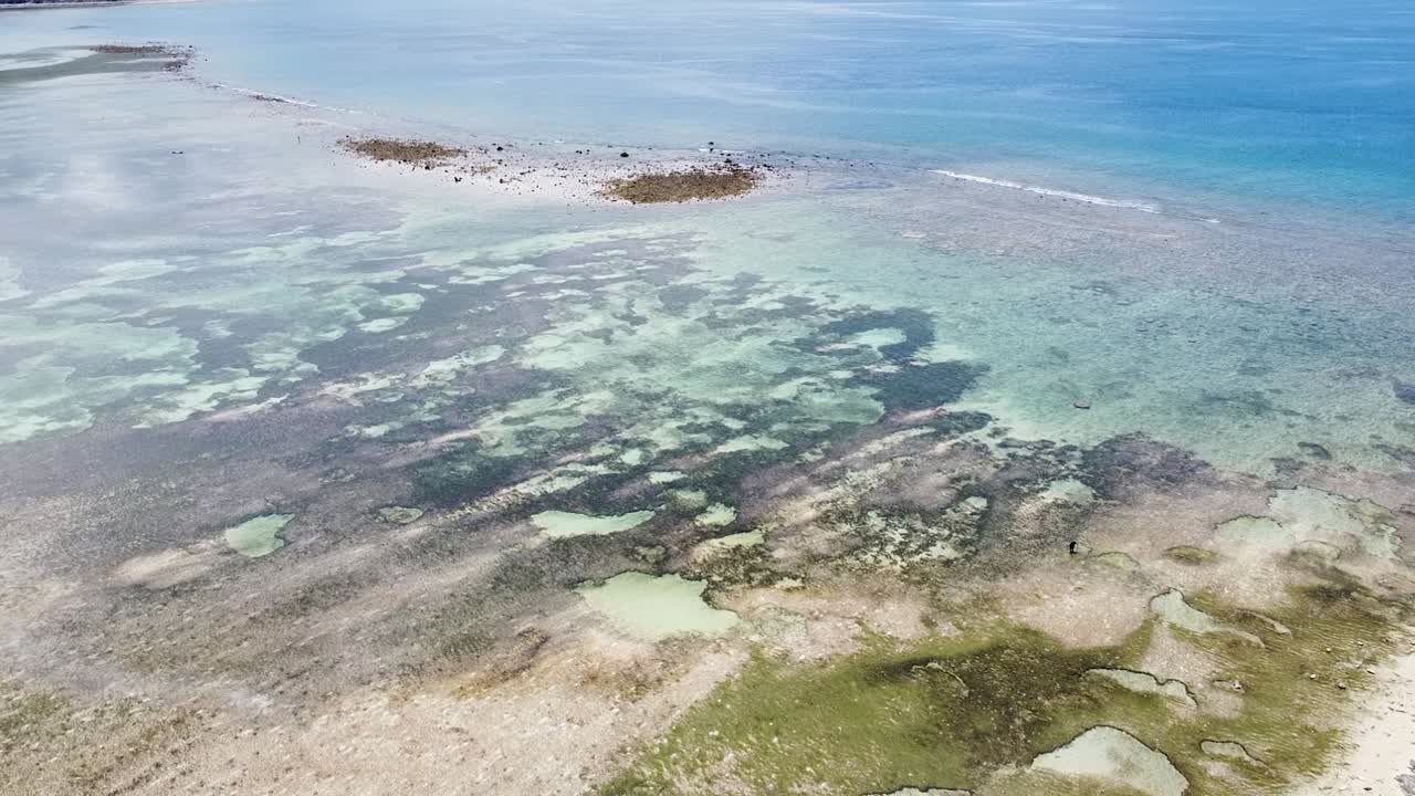 drones aéreos de pescadores que buscan mariscos durante la marea baja con impresionantes aguas cristalinas, arrecifes de coral y barras de arena en timor leste, sudeste asiático