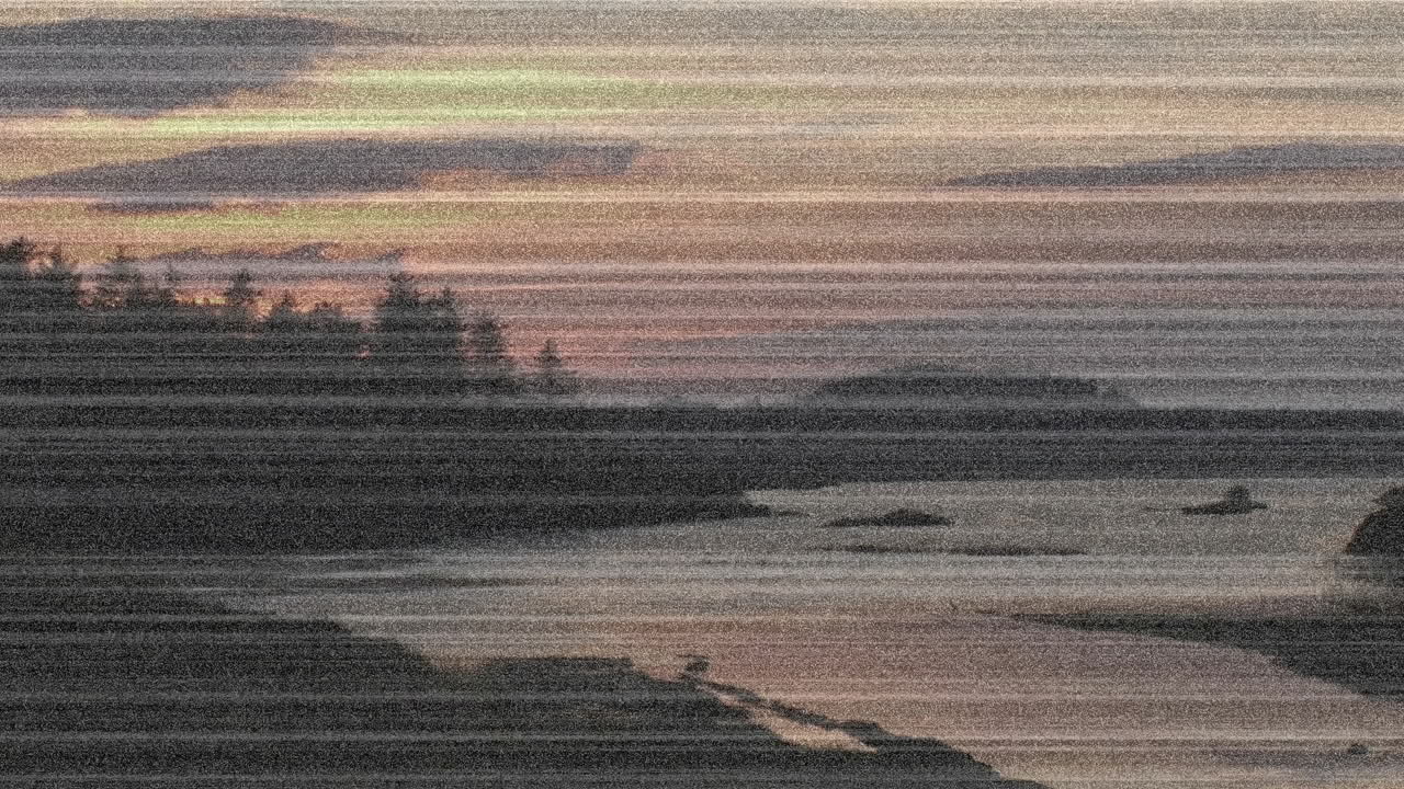 Coastal landscape showing rocky shoreline and evergreen headland at dusk, animated flat design