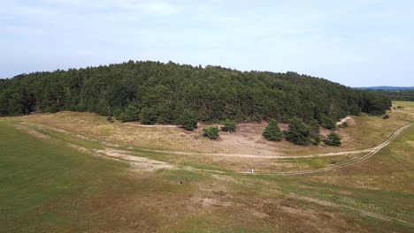 Schöner-Flug-Von-Oben-Aus-Der-Luft,-Hügelige-Heidewälder,-Sommerfelder,-Brandenburg,-Deutschland-23