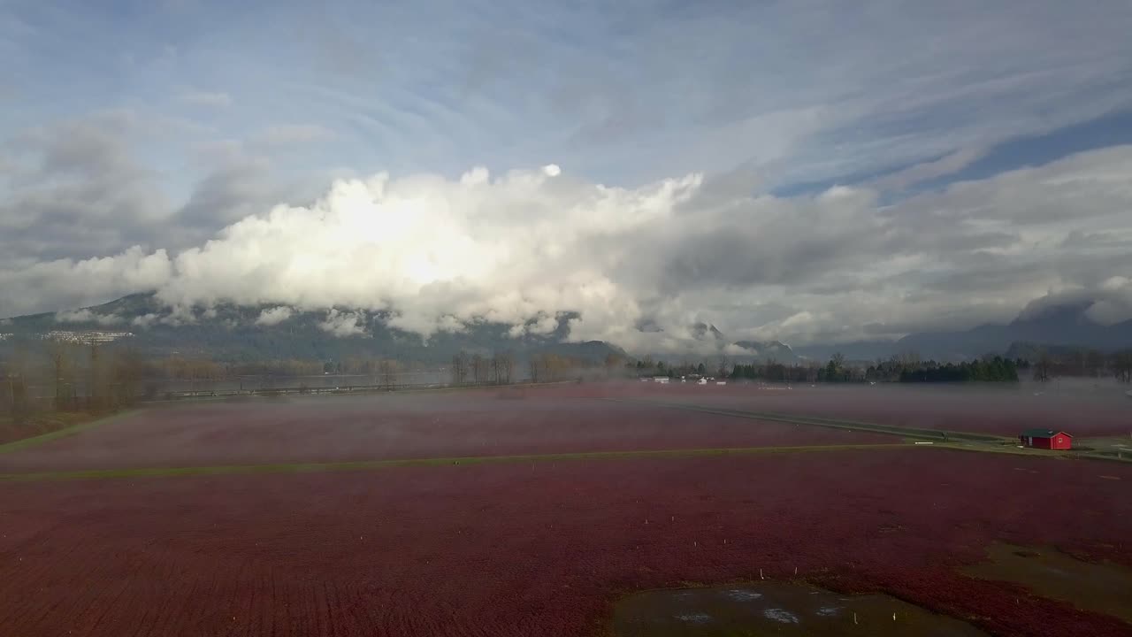 밴쿠버, 캐나다-1에서 안개가 자욱한 날에 빨간색 필드