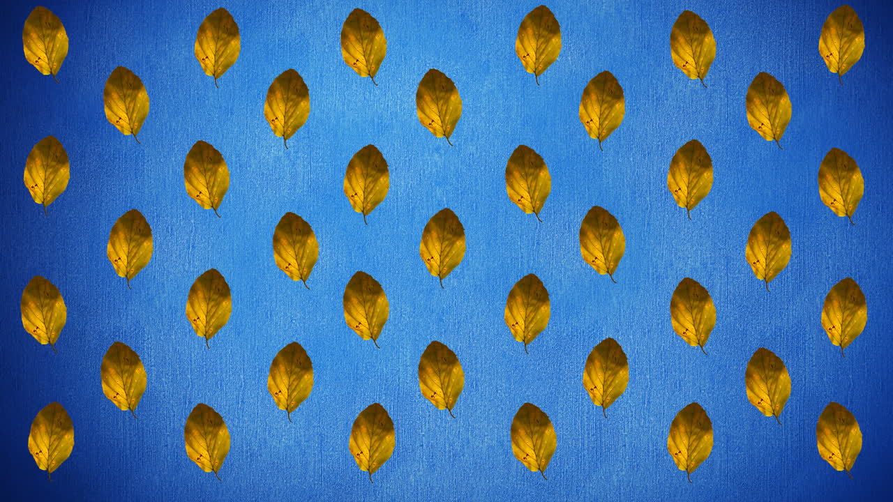 animación de filas de hojas amarillas de otoño sobre fondo azul