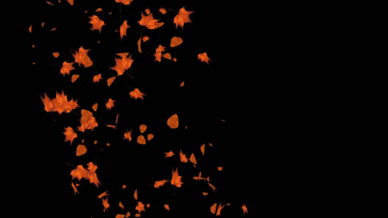 Leaf fall animation with wind autumn maple leaves falling loop 4k loop animation 3d background