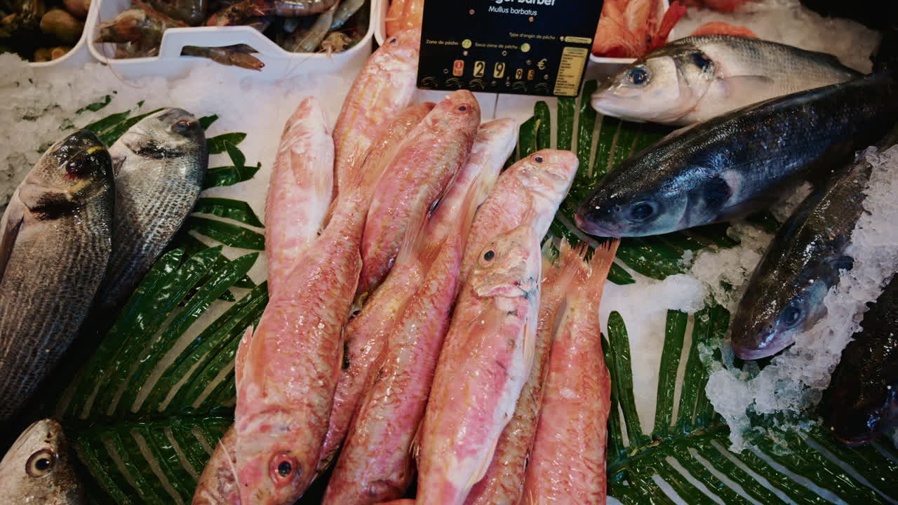 Close up of fresh fish arranged on ice at a traditional Mediterranean fish market