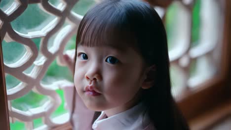 child looking through a window