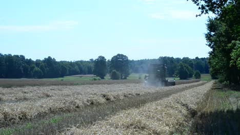 Máquina-De-Cosecha-De-Tractor-De-Tiro-Estático-En-La-Granja-De-Tierra-De-Campo-Orgánico-Natural-Cultivada-Con-Trigo-De-Grano