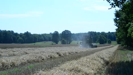 máquina de cosecha de tractor de tiro estático en la granja de tierra de campo orgánico natural cultivada con trigo de grano