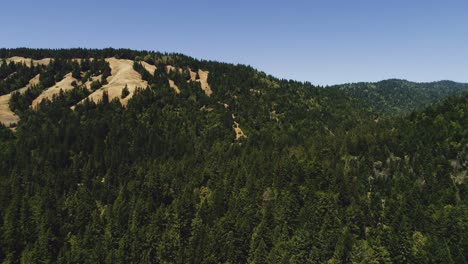 A-aerial-shot-of-redwood-trees-and-mountains-in-beautiful-Mendocino,-California