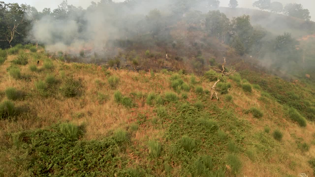 Wildfire spreading across a dry, grassy hillside with smoke