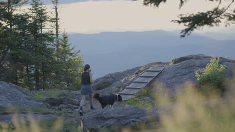 a sunset walk with a border collie on top of a mountain in vermont