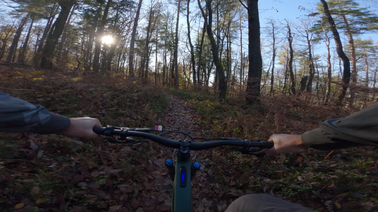 Mountain Biking in the Woods