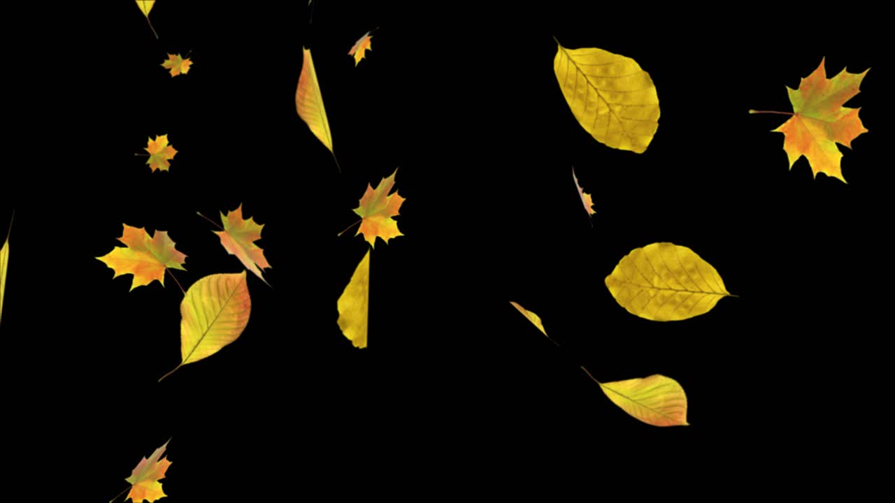 Falling Autumn Leaves Animation
