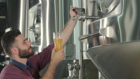 young brewer wearing a leather apron is tasting beer at a modern brewery