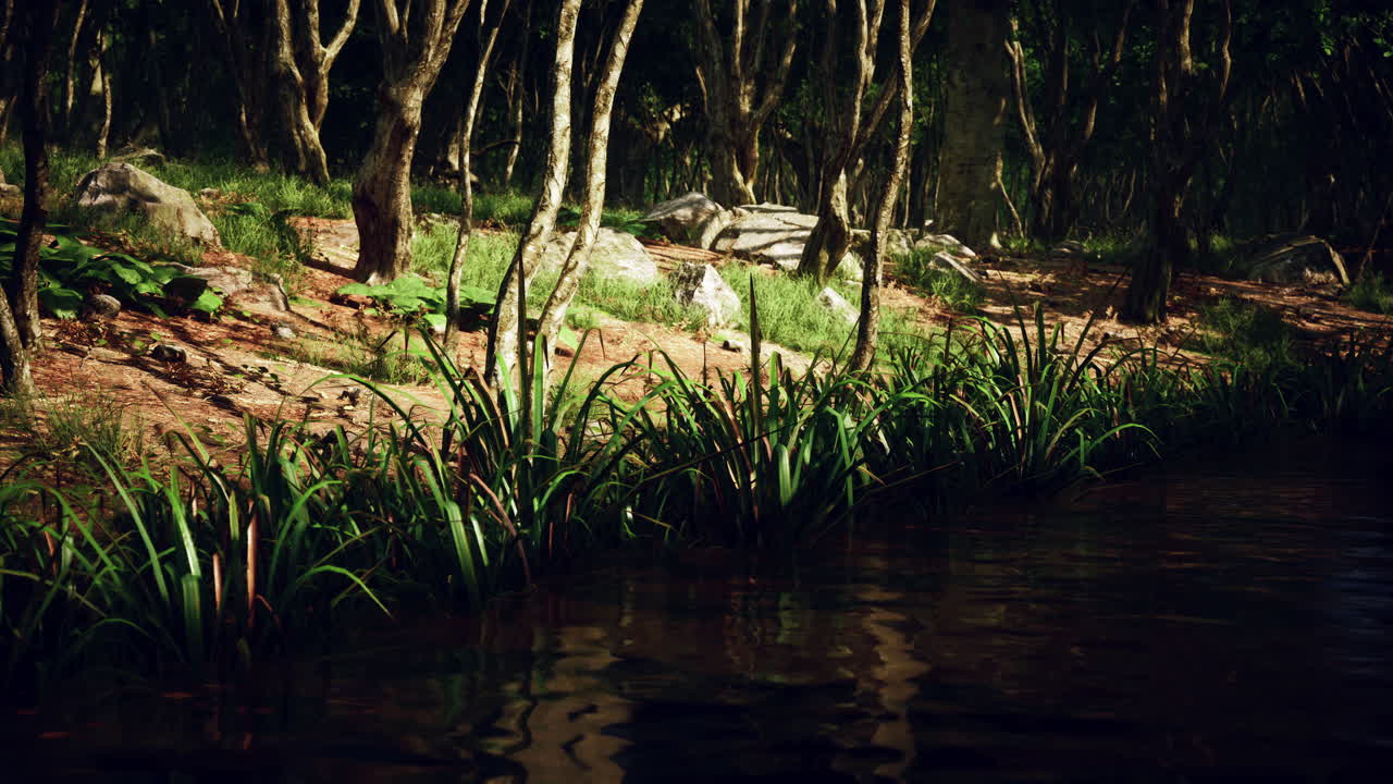 Fog in the pond on a sunny morning
