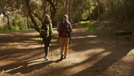 active senior couple hiking in forest