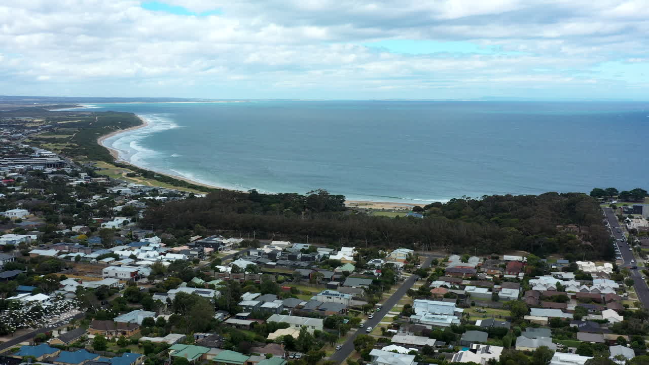 gran bandada aérea de cacatúas con cresta de azufre volando sobre la ciudad costera