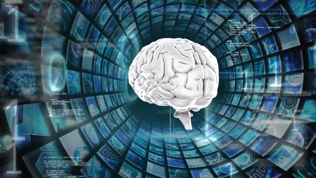 el cerebro humano