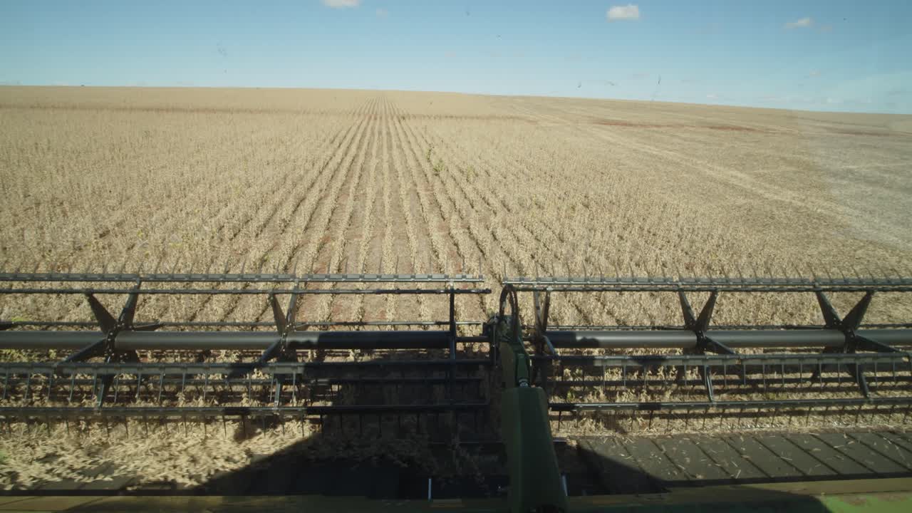 Internal image of a harvester harvesting soybeans in Mato Grosso in the interior of Brazil