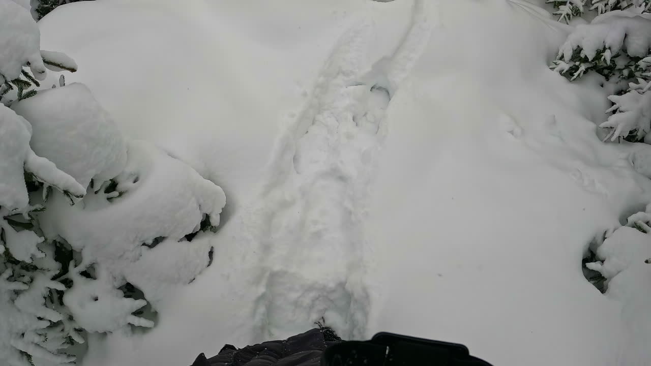 눈 속을 걷는 사람의 발이 위로 기울어져 크리스마스 트리 상록수 숲이 드러납니다 - 슬로우 모션