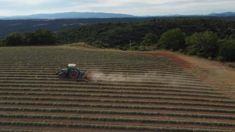 industrial agriculture combine harvester machine reaping field in the farming aerial view