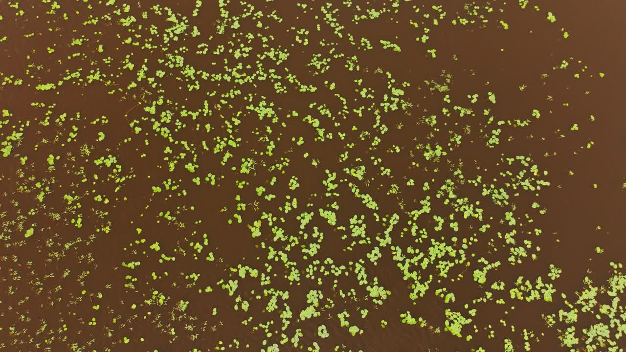 Slow backward drone view reveals water textures in Annenieki reservoir