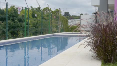 swimming pool on a sunny day with clear water and surrounding plants and trees