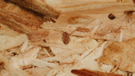 close-up of wood plywood texture