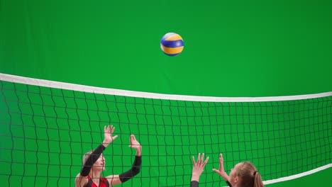 women's volleyball players in action