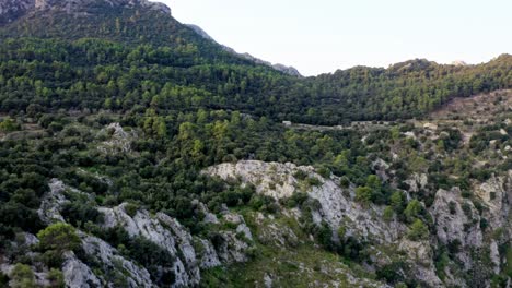 Hilly-mountain-landscape-overgrown-with-plants-and-tall-trees,-drone-shot