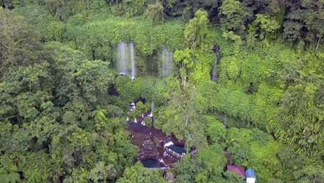 Selva-Los-Pulmones-Verdes-De-La-Tierra